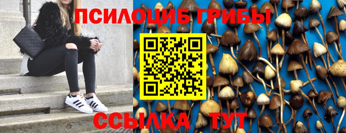 Красноярск  Галлюциногенные грибы GOLDEN TEACHER  купить наркоту  Вход с VPN 